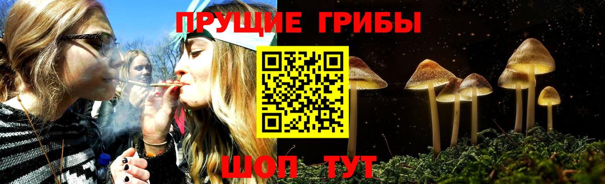 Псилоцибиновые грибы ЛСД Ирбит